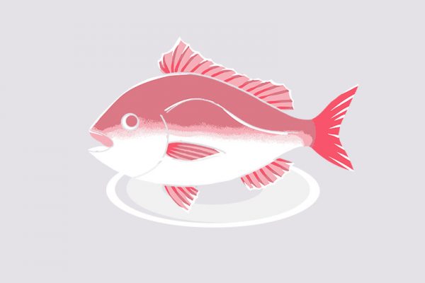 Masak Kilat: Tim Ikan Sehat dan Mudah untuk Anak